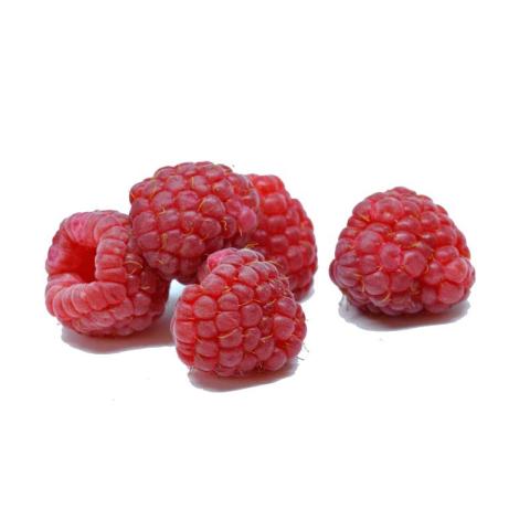 EXTRA CONFITUUR - FRAMBOZEN