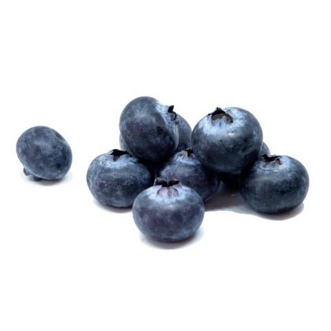 EXTRA CONFITUUR - BOSBESSEN