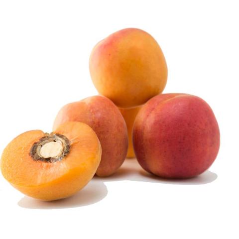 EXTRA CONFITUUR - ABRIKOZEN