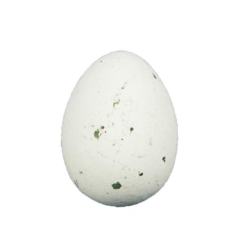 KIEVITSEITJES WIT