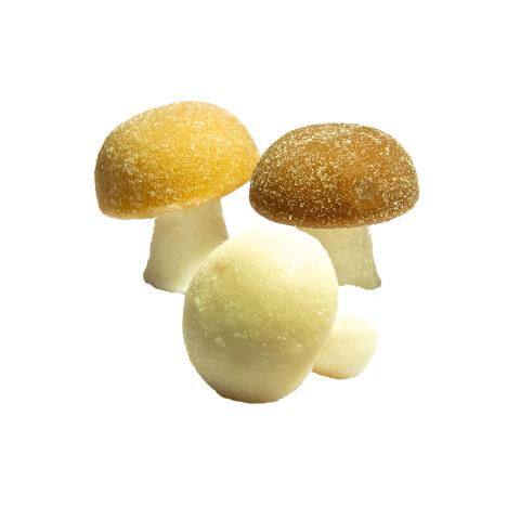 PADDESTOEL - FRUITSTEELTJE