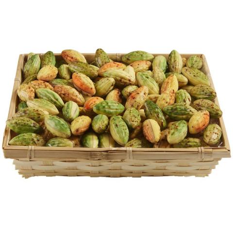CACAO BONEN ASSORTIMENT