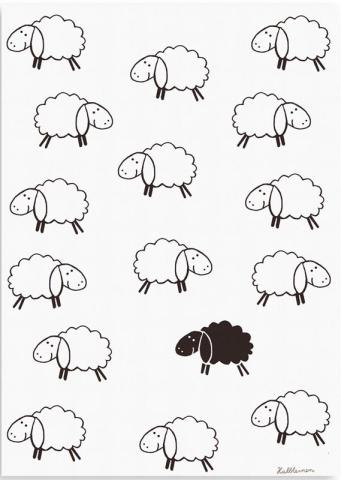 ZWART SCHAAP