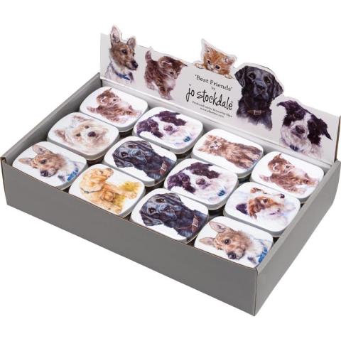 JS BEST FRIENDS RECTANGULAR MINI PILL 60 x 45 x 15 MM