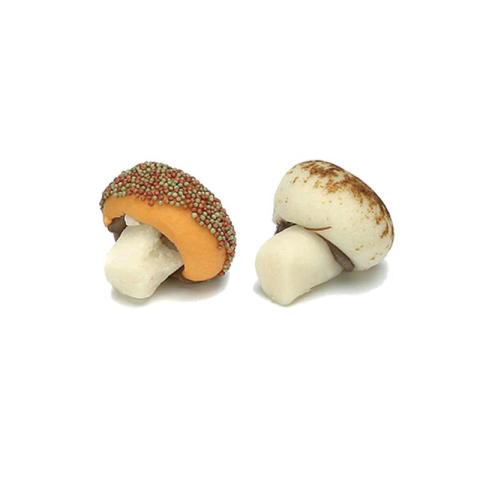 ORANJE & BRUINE PADDESTOELEN