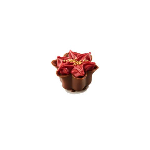 KERSTMIS ROOS - ROOD