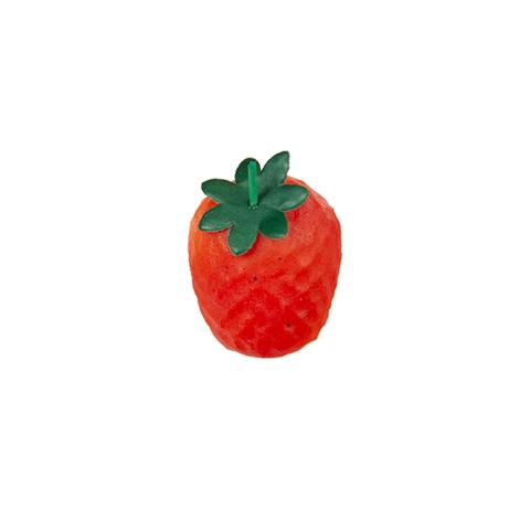 AARDBEIEN - MARSEPEIN