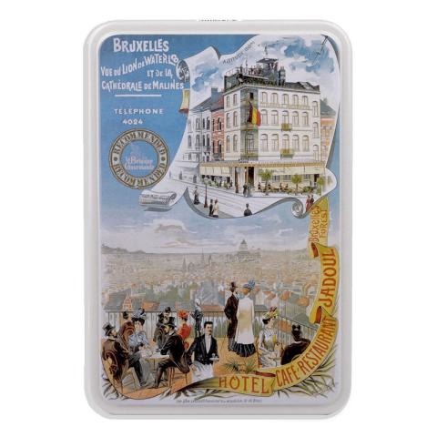 VUE DE LION DE WATERLOO