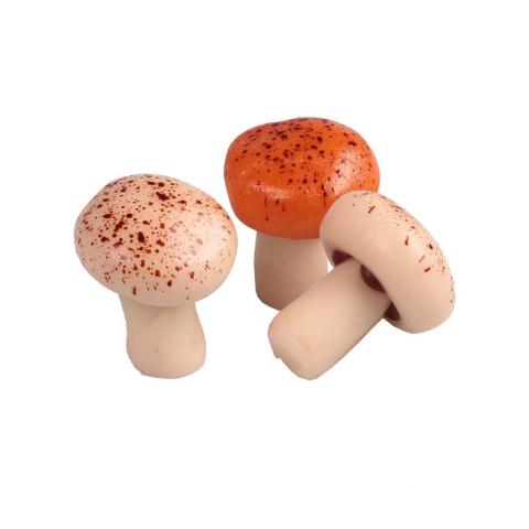 ORANJE EN BRUINE PADDESTOELEN ASS