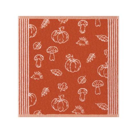 PADDESTOEL POMPOEN "FROTTIER"