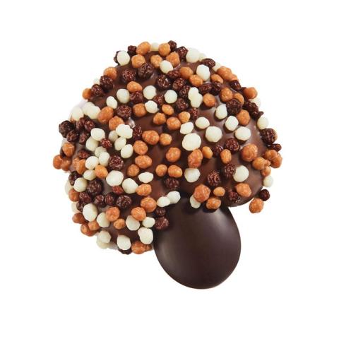 PADDESTOEL MELK + CRISPY BALLETJES